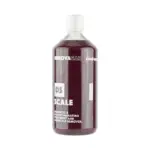 Innovacar DS Scale Shampoo
