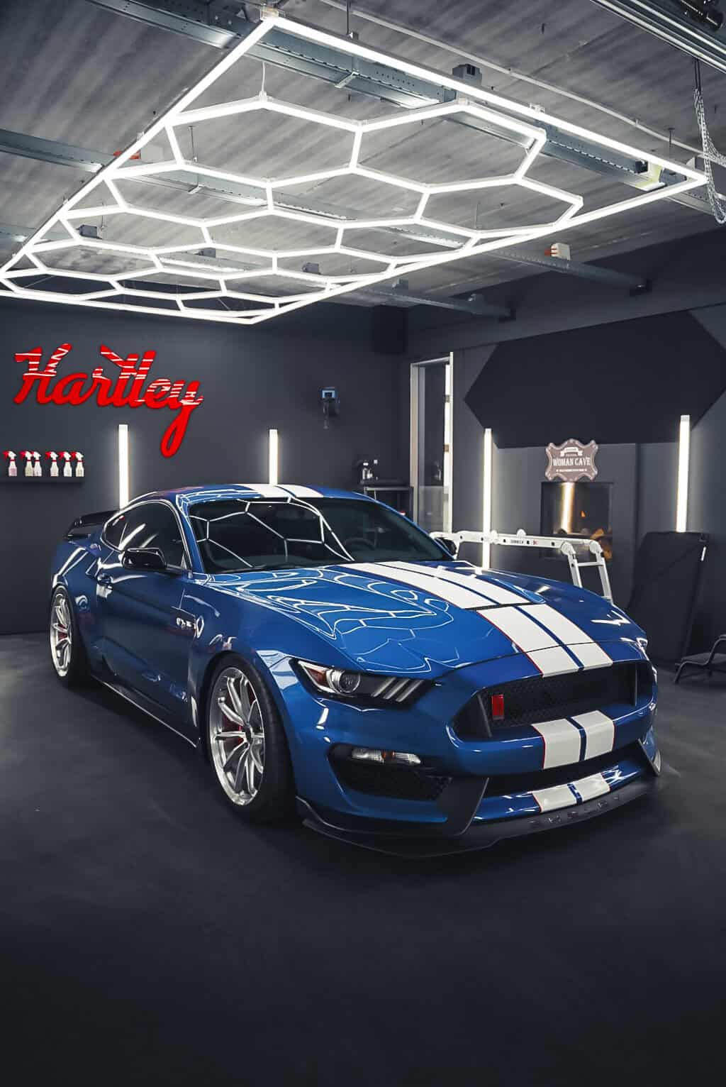 Hartley Project auto 5