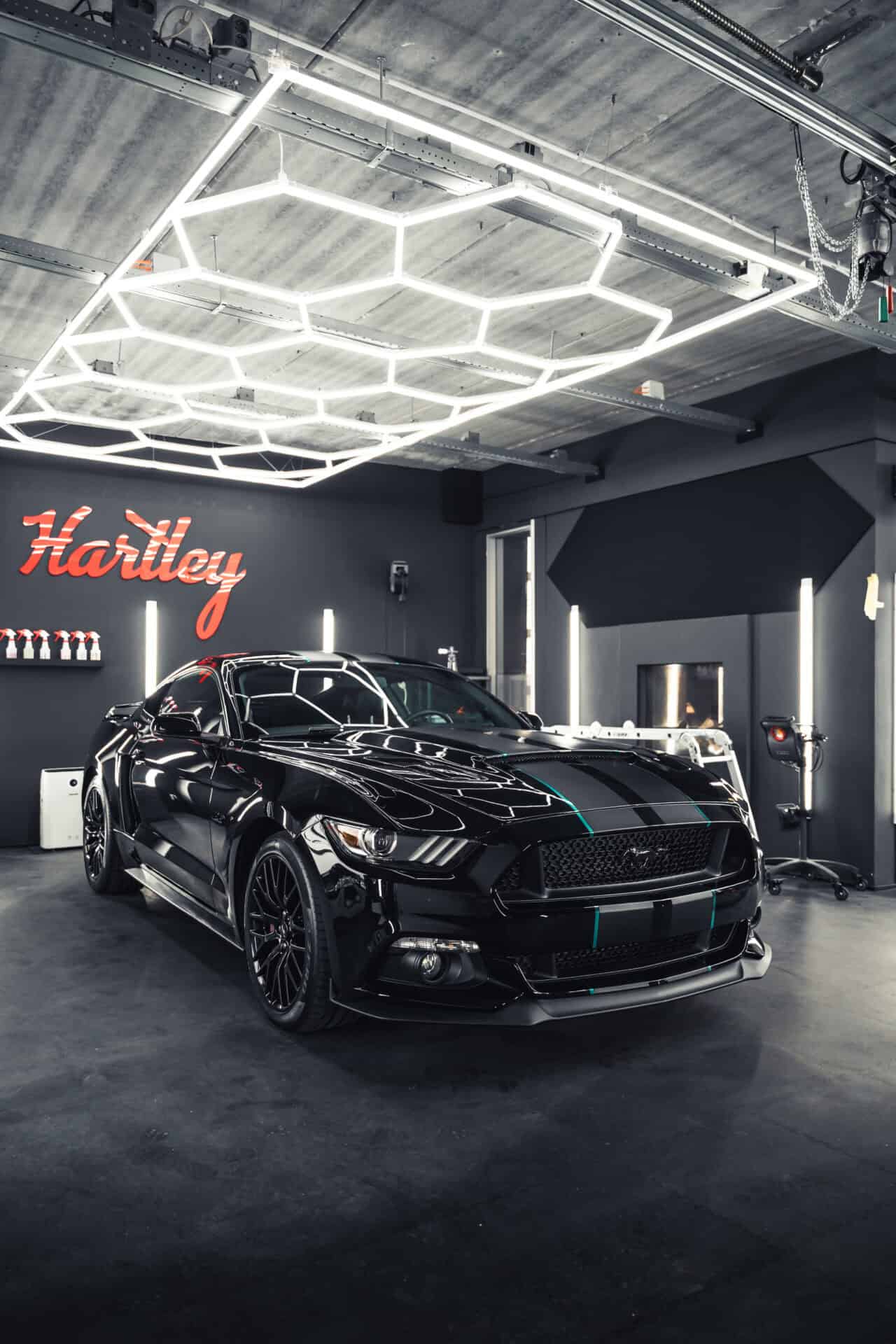 Hartley Project auto 8